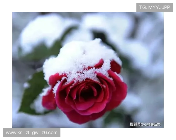 尊龙人生就是博l:游戏中的人生智慧与现实生活的完美结合